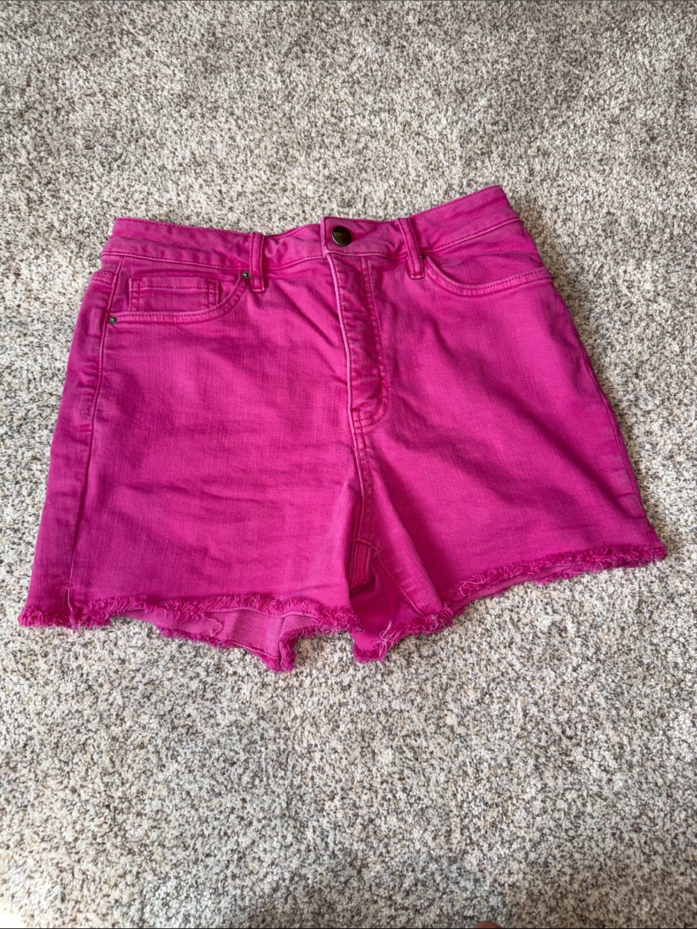 RFM Hot Pink High-Rise Denim Cutoff Shorts - L